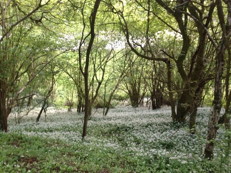 View from Monks Path